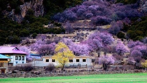 桃花村