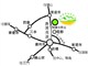 （清遠）新銀盞溫泉度假酒店