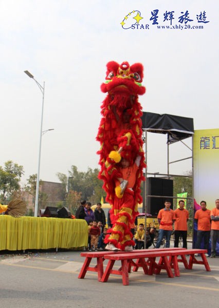 精彩的舞獅令觀眾大飽眼福