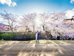 韓國 首爾一地 走進韓劇的世界 廣州直飛 五天