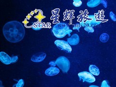 巽寮灣南海洋水母王國(guó)3